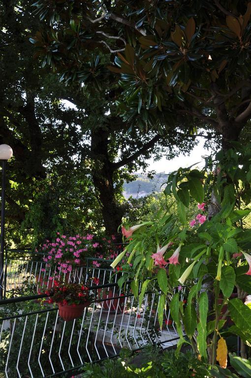 Hotel Firenze Chianciano Terme Ruang foto