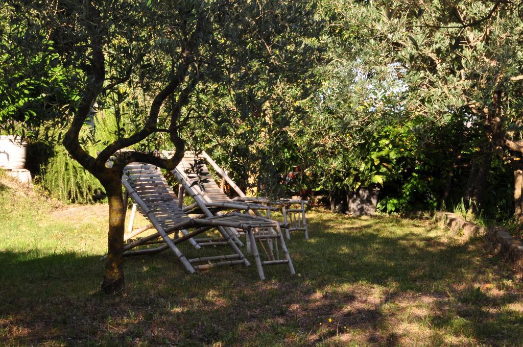Hotel Firenze Chianciano Terme Bagian luar foto